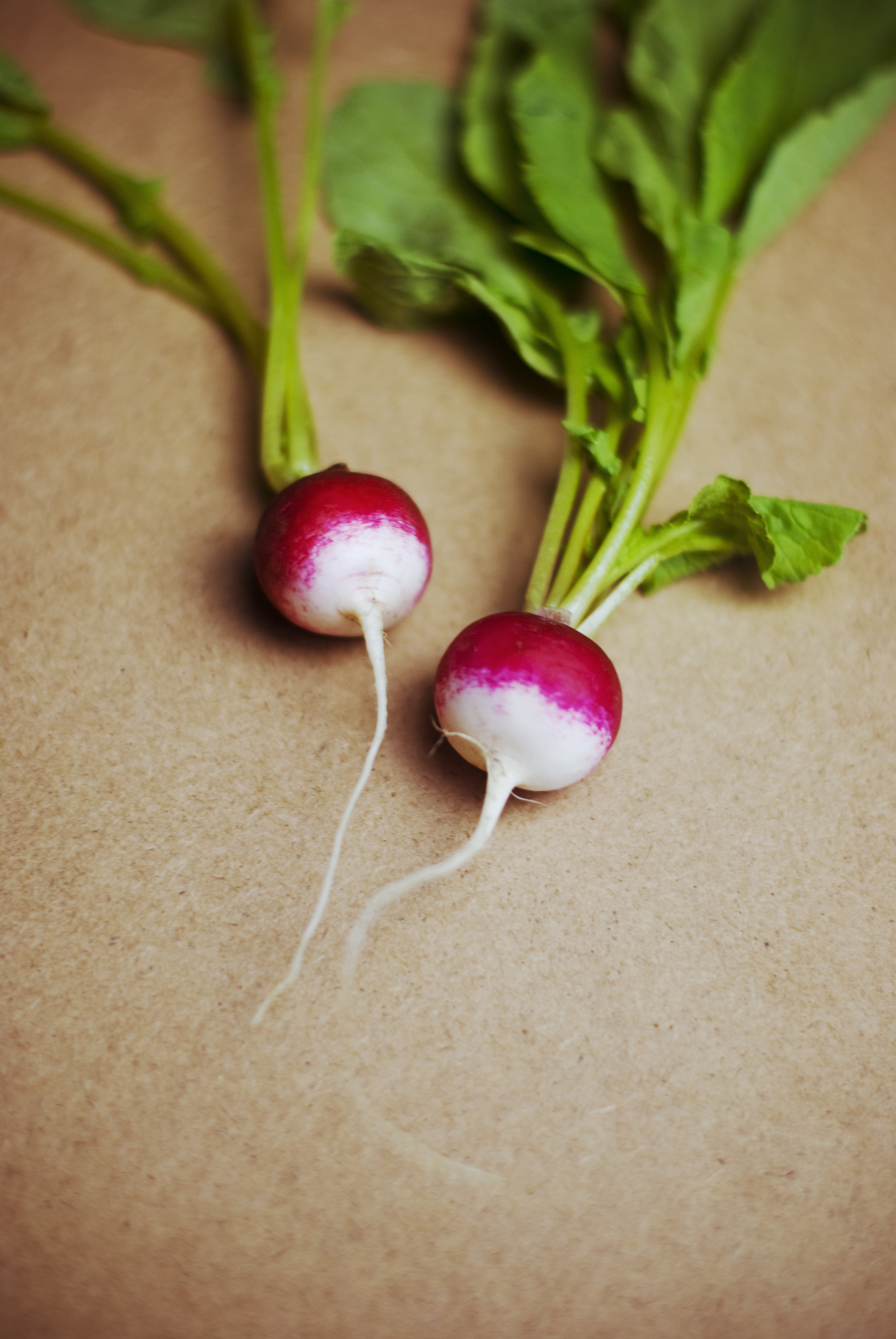 Tahini Radish Salad